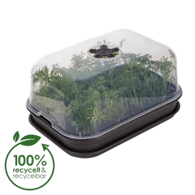 Green Basics Anzuchthaus M