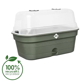 Green Basics Anzucht-Kisterl mit Haube all-in-1