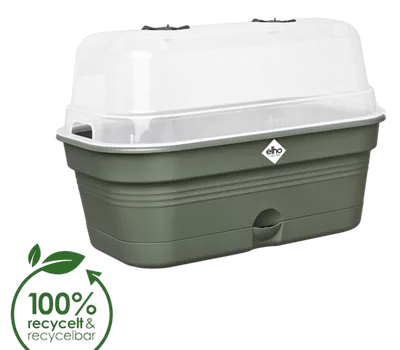 Green Basics Anzucht-Kisterl mit Haube all-in-1