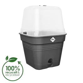 Green Basics Anzuchttopf mit Haube all-in-1