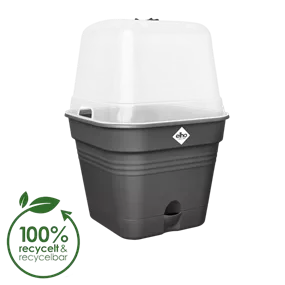 Green Basics Anzuchttopf mit Haube all-in-1