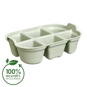 Green Basics Saatschale