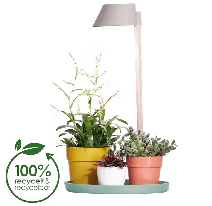 Pflanzen-Wachstumslicht mit Holzständer und Unters