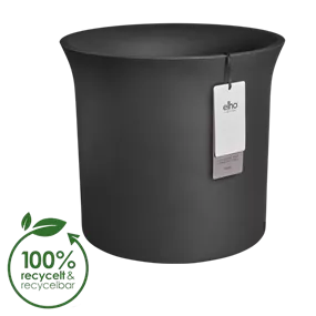 Premium Übertopf june tulip