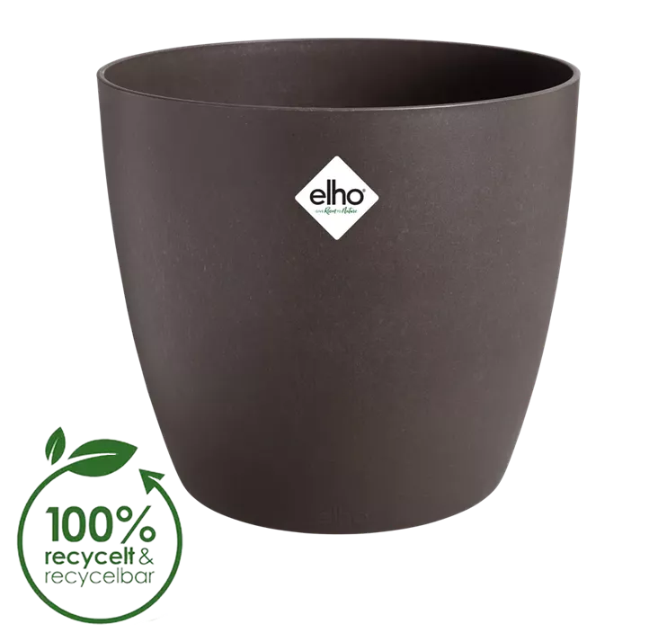 The Coffee Collection Rund