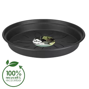 Untersetzer Green Basics