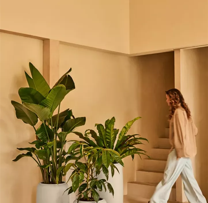 UV- & frostbeständig, 100 % Recyclingmaterial, für indoor & outdoor