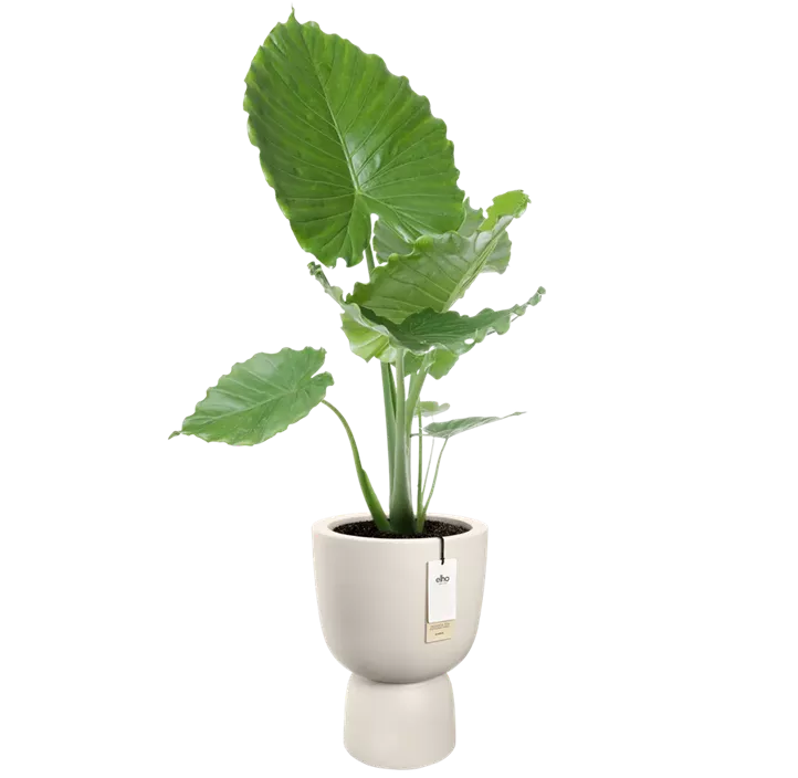 UV- & frostbeständig, 100 % Recyclingmaterial, für indoor & outdoor