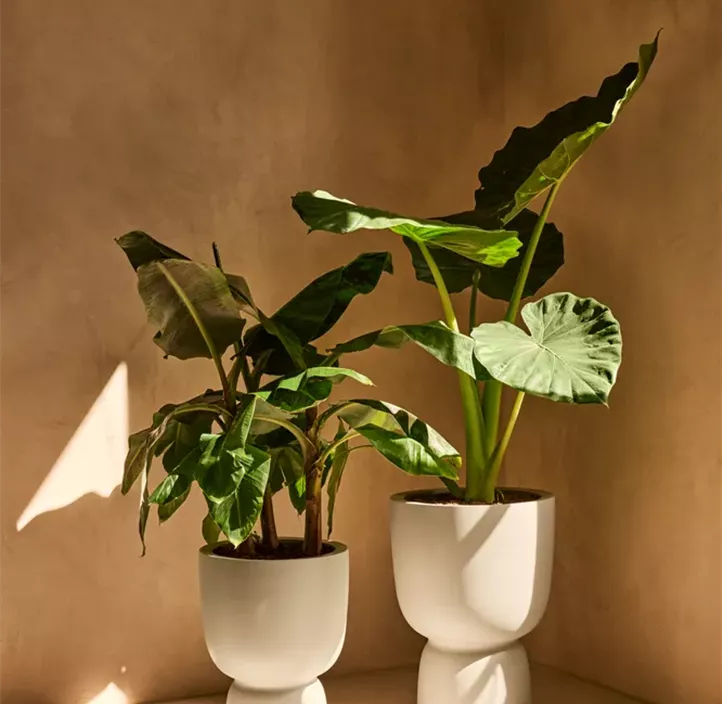 UV- & frostbeständig, 100 % Recyclingmaterial, für indoor & outdoor