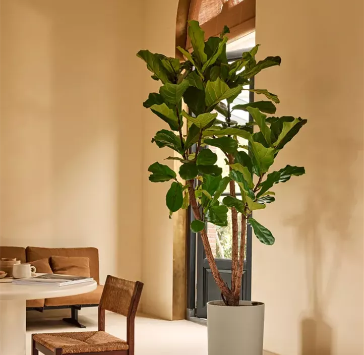 UV- & frostbeständig, 100 % Recyclingmaterial, für indoor & outdoor