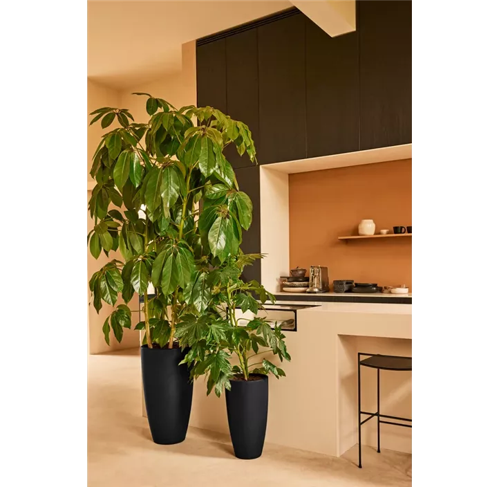 UV- & frostbeständig, 100 % Recyclingmaterial, für indoor & outdoor