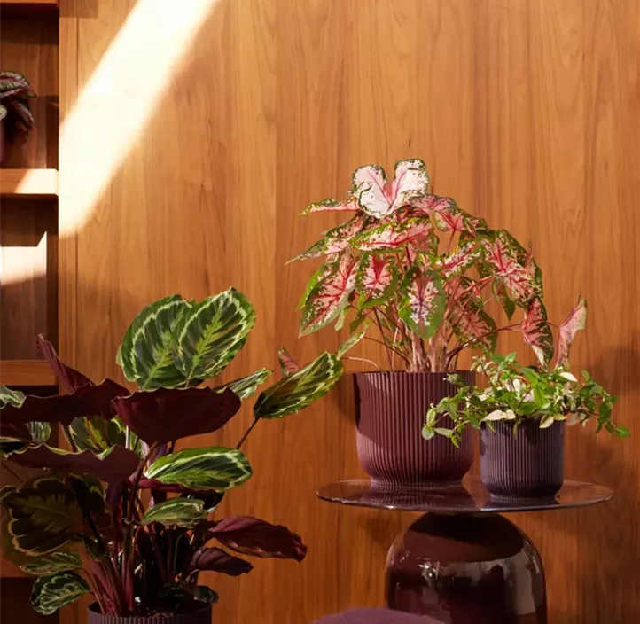 UV- & frostbeständig, 100 % Recyclingmaterial