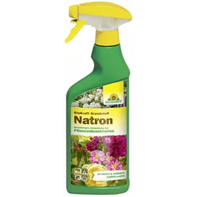 BioKraft Grundstoff Natron