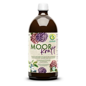Moorkraft