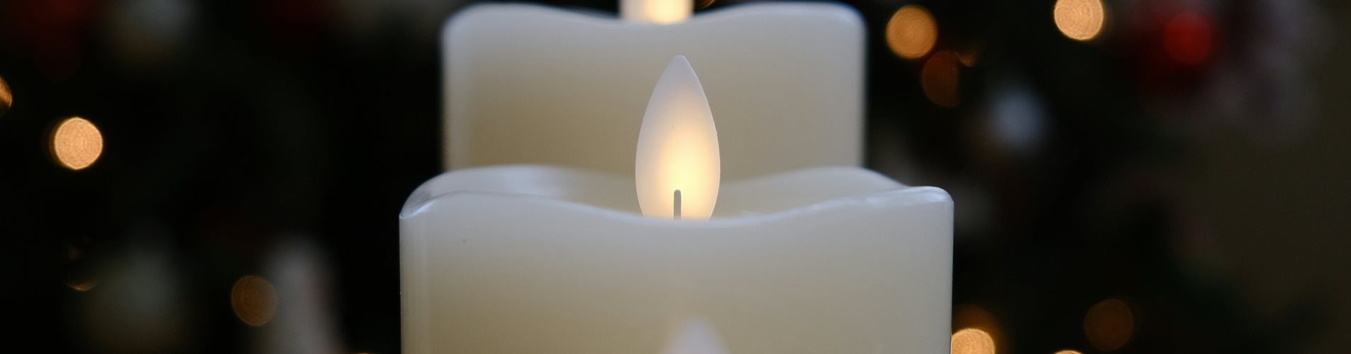 reeet-jank-79edhXloJUs-unsplash-0-416-6240-3510