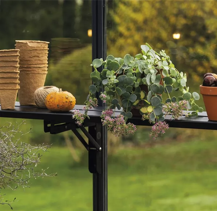 Klappbares Lamellenregal