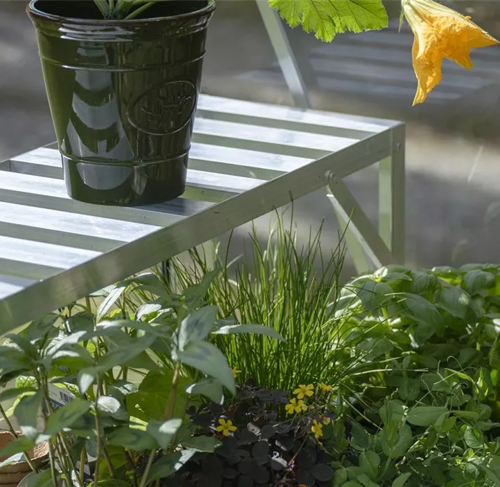 Halls Top Regal für Standalone-Tisch