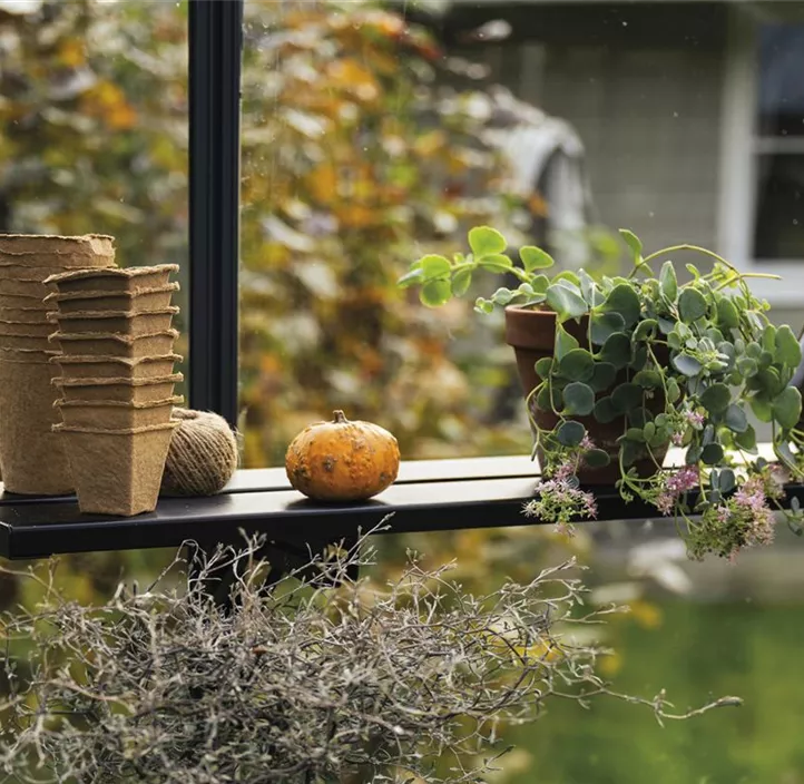 Klappbares Lamellenregal - 4 Sektionen