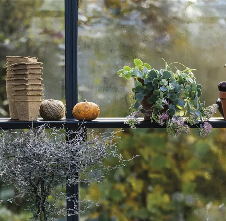 Klappbares Lamellenregal - 4 Sektionen