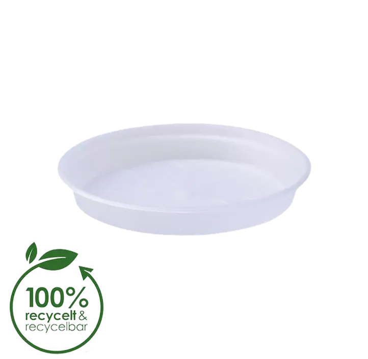 Orchideen Untersetzer Green Basics