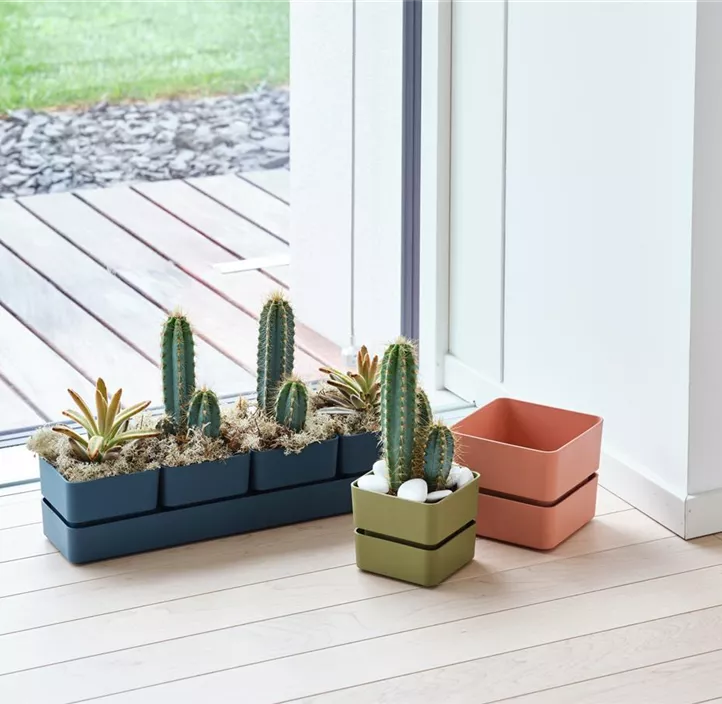 Pflanzgefäß Sierra