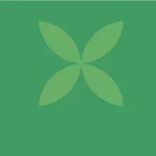 Zimmerpflanzen für dein Herzblatt