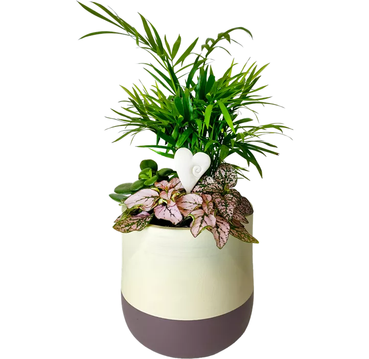 Arrangement 'Valentin I'