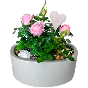 Arrangement 'Valentin II'