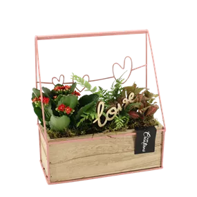 Arrangement 'Romantic Kiste II'