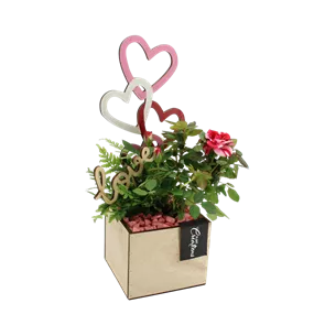 Arrangement 'Romantic Kiste I'