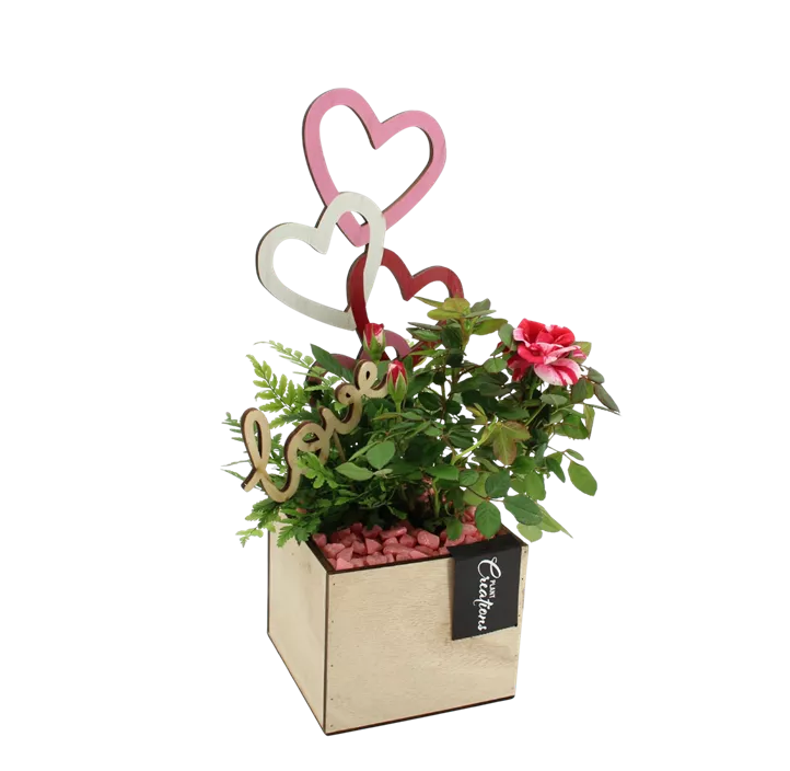 Arrangement 'Romantic Kiste I'