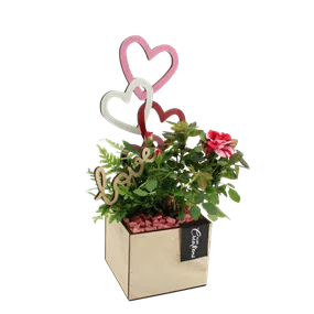 Arrangement 'Romantic Kiste I'