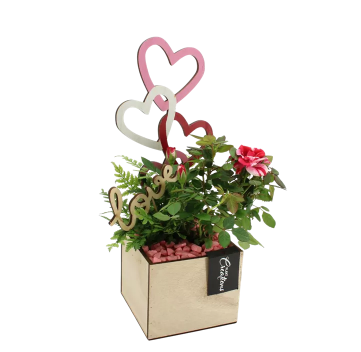 Arrangement 'Romantic Kiste I'