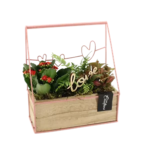 Arrangement 'Romantic Kiste II'