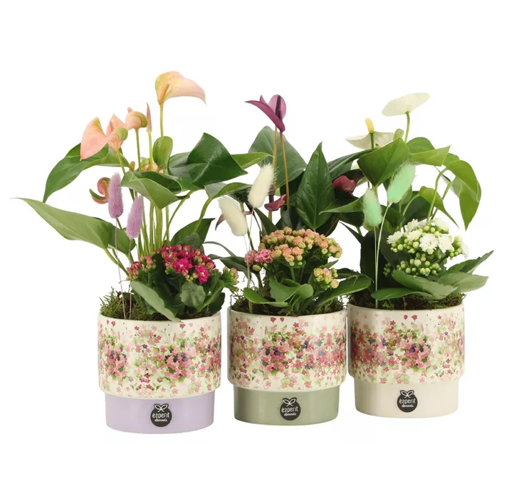 Geschenk zum Valentinstag