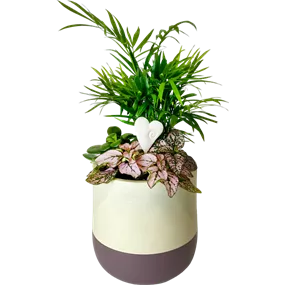 Arrangement 'Valentin I'