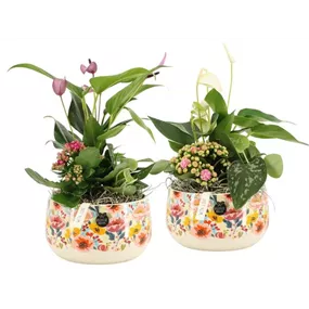 Arrangement 'Love I'