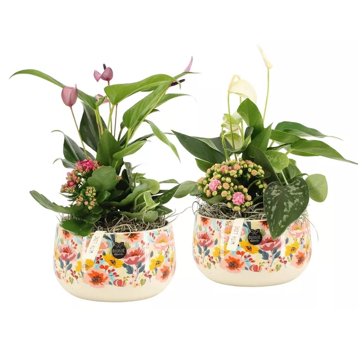 Arrangement 'Love I'