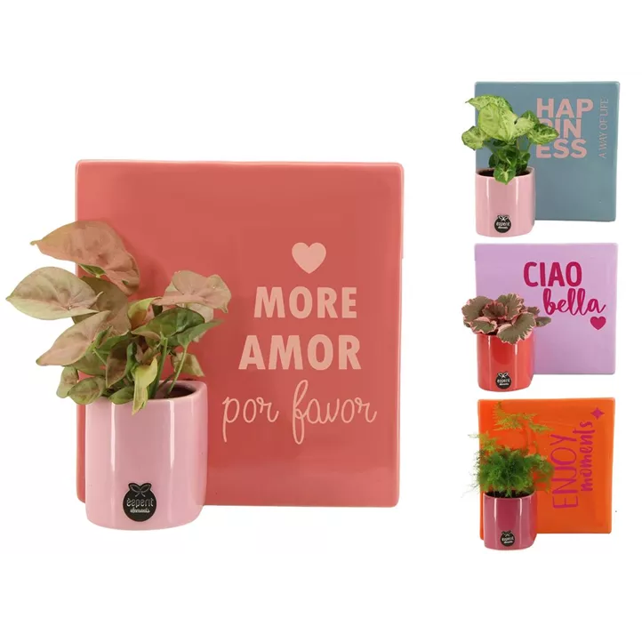 Arrangement 'Love II'