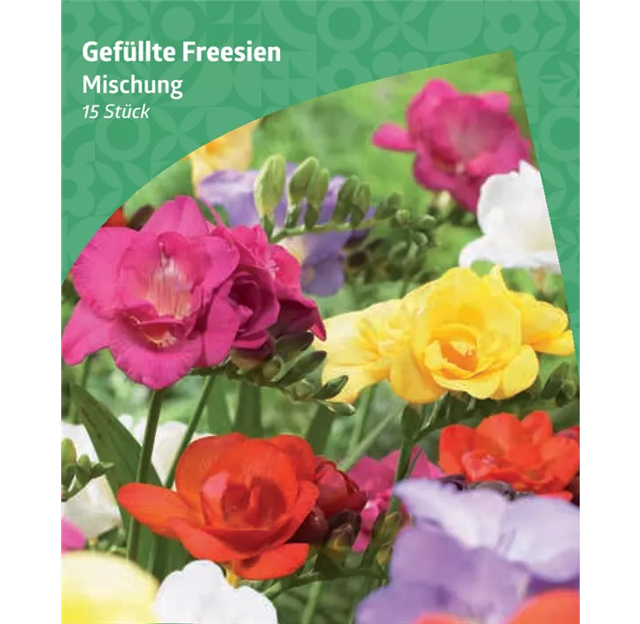 Gefüllte Fressie, Mischung