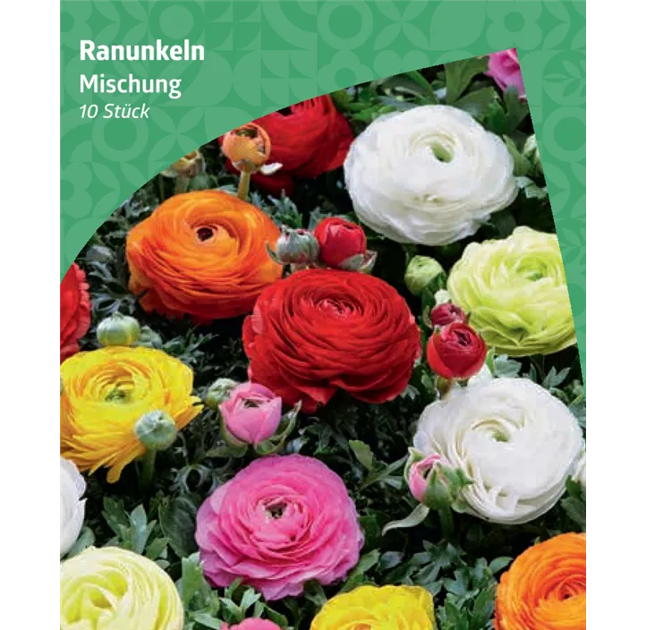 Ranunkeln, Mischung