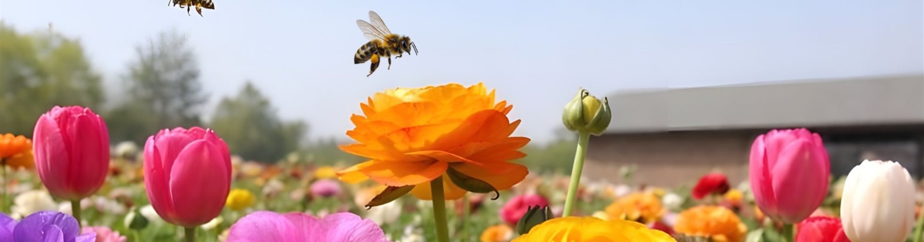 KW 7-9 Header mit Blumen und Bienen final
