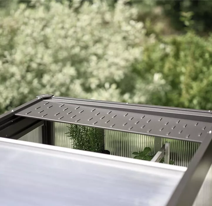 für Gewächshaus Florentina 2x1 MAXI 