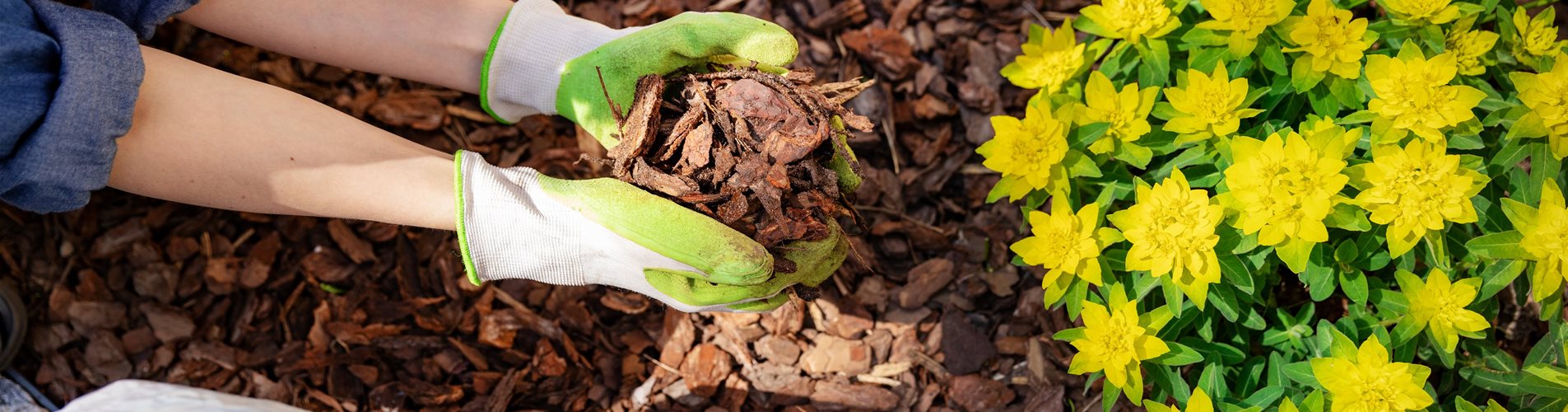 iStock-1147539676-0-304-6720-3780 iStock-1147539676-0-304-6720-3780