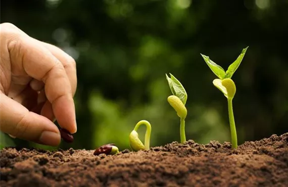 KW 8 Vorfrühling - Schritt 3.jpg KW 8 Vorfrühling - Schritt 3.jpg