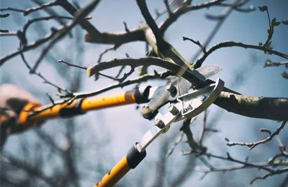 KW 8 Vorfrühling - Schritt 4.jpg