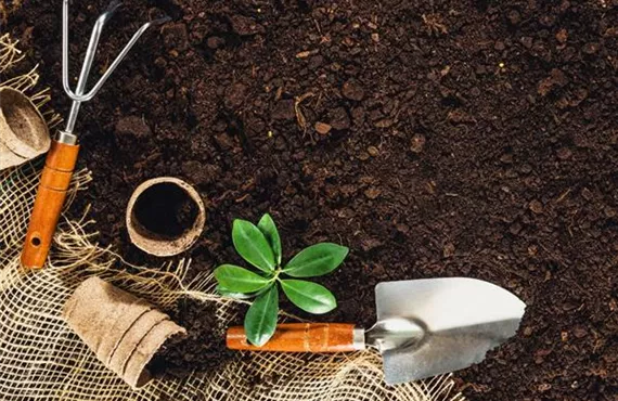 KW 8 Vorfrühling - Schritt 1.jpg KW 8 Vorfrühling - Schritt 1.jpg