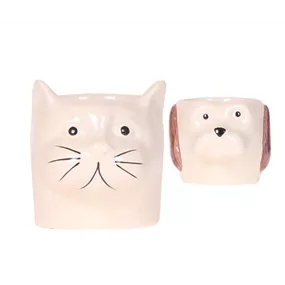 Orchideentopf Cats & Dogs