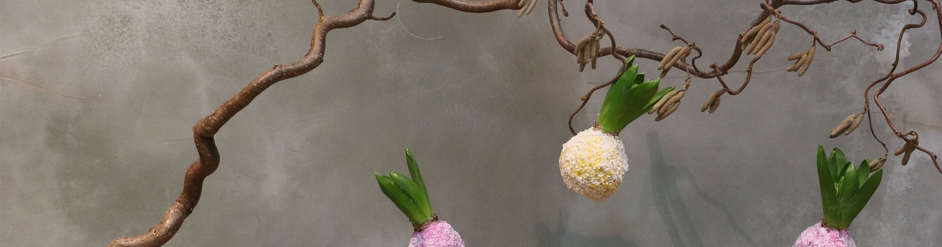 IMG_5025-85-2421-3464-1948