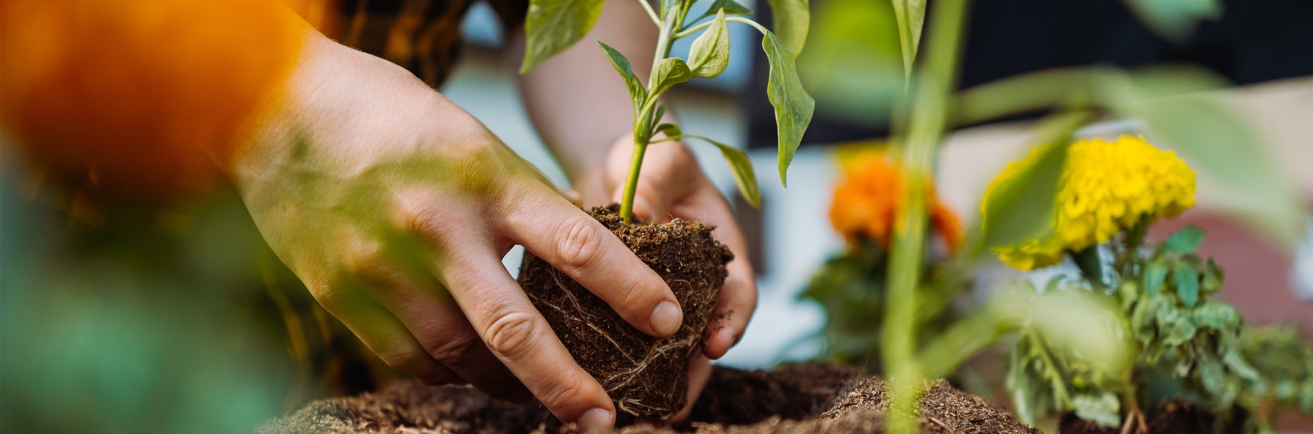 Vorbereitung auf den Frühling